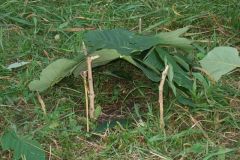 img_1281811514_916