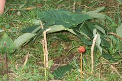 img_1281811522_991