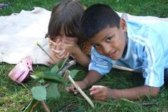 img_1281811531_421