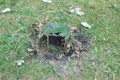 img_1281811563_487