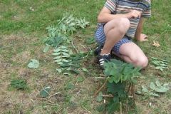 img_1281811583_813