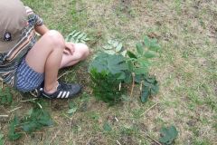 img_1281811590_875
