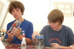 img_1281782746_206