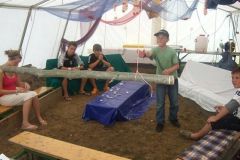 img_1281887989_230