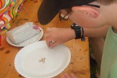 img_1281888069_446