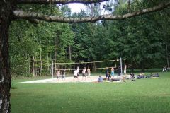 img_1281892962_45