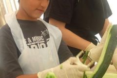 img_1281874269_85