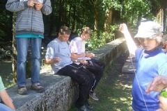 img_1281874359_454
