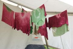 img_1282145939_281