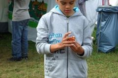img_1282134226_64