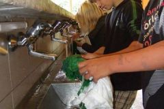 img_1282134292_39