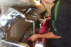 img_1282134297_478