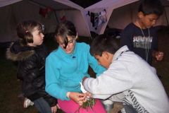 img_1282248083_560