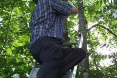 img_1282248105_383