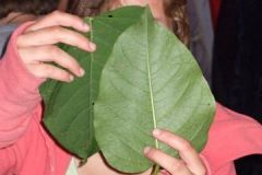 img_1282248214_101