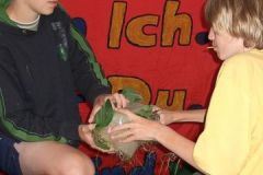 img_1282248229_119