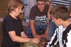 img_1282248232_298