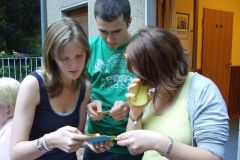 img_1277646964_203