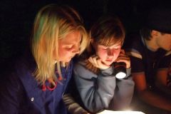 img_1282516404_350