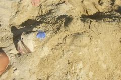 img_1282405100_234