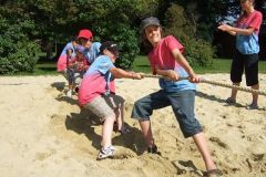 img_1282390976_733