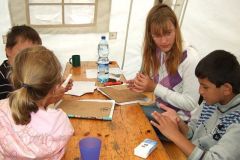 img_1282648308_277
