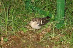 img_1282751406_718