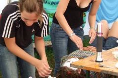 img_1282737064_886