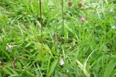 img_1281211932_979