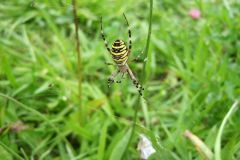 img_1281211934_524