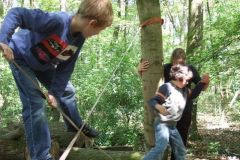 img_1274871892_821