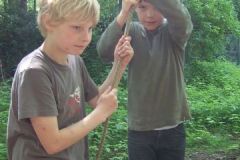 img_1274871908_461