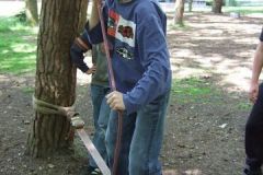 img_1274871914_677
