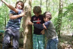 img_1274871925_395