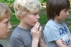 img_1274874017_278