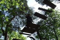 img_1274874073_539