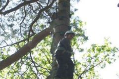 img_1274875662_306