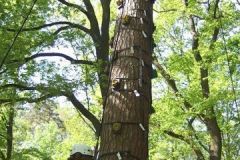 img_1274875682_97