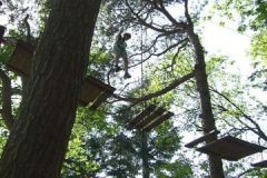 img_1274875692_445