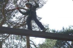 img_1274875693_982