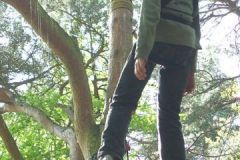 img_1274875695_776