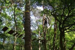 img_1274875697_750
