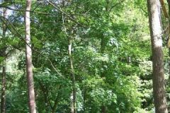 img_1274875712_771