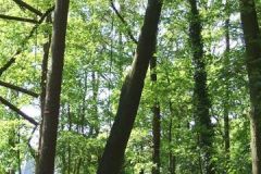 img_1274876486_114