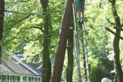 img_1274876488_797