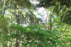 img_1274876496_280