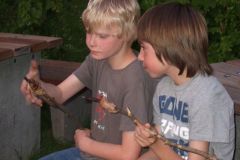 img_1274878209_511