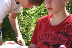 img_1274879781_631