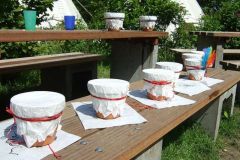img_1274879794_46