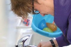 img_1274880536_689